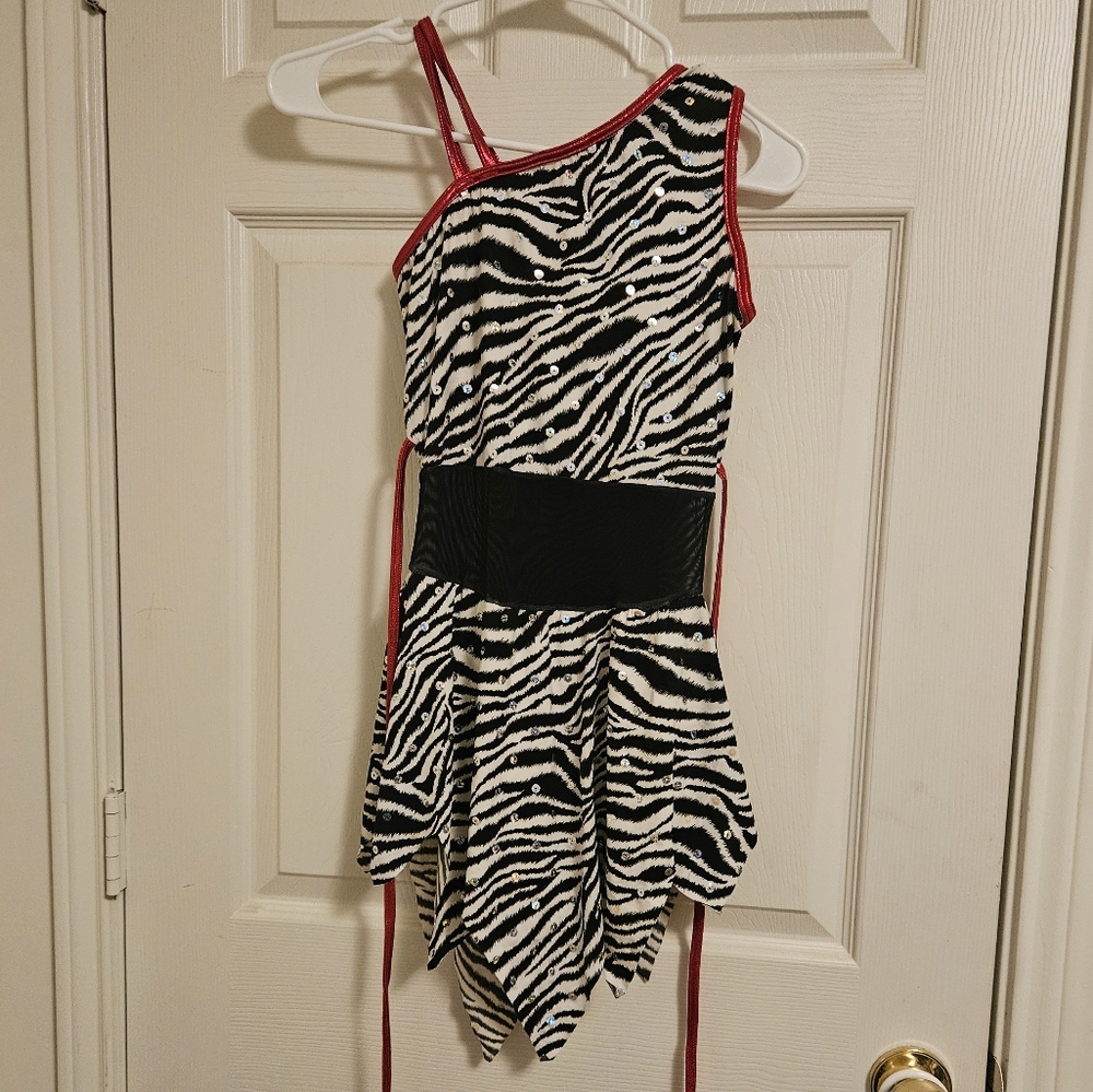 Costume adult small